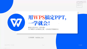 WPS-13